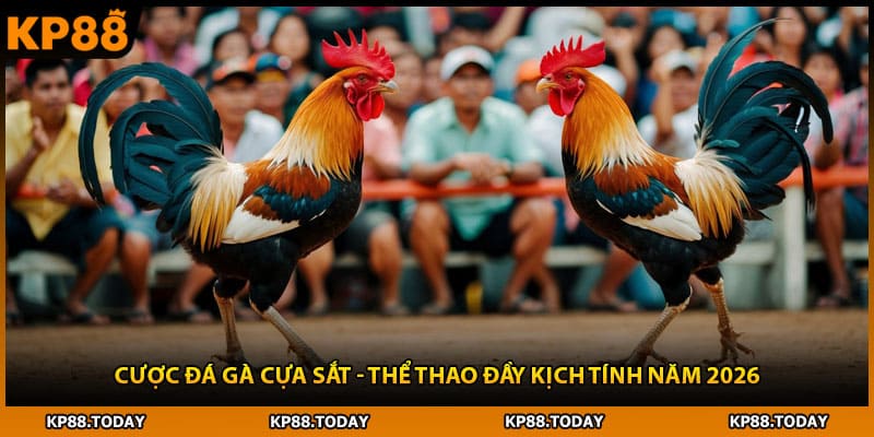 Cược Đá Gà Cựa Sắt - Thể Thao Đầy Kịch Tính Năm 2026