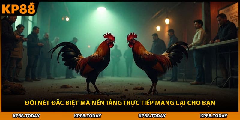 Đôi nét đặc biệt mà nền tảng trực tiếp mang lại cho bạn