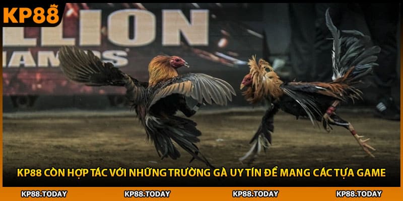 KP88 còn hợp tác với những trường gà uy tín để mang các tựa game KP88 còn hợp tác với những trường gà uy tín để mang các tựa game